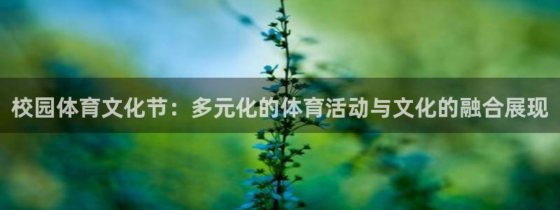 678体育官网