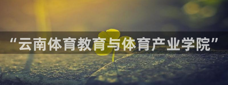 678体育app