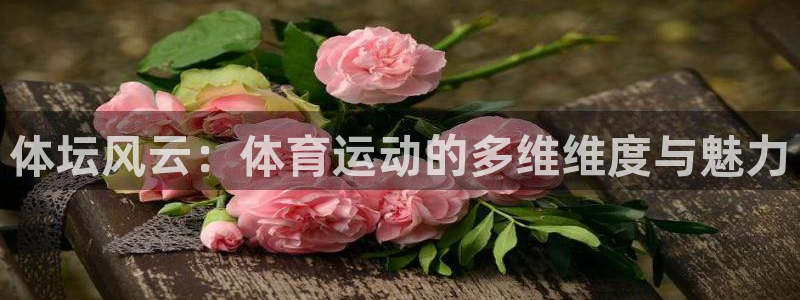 678体育