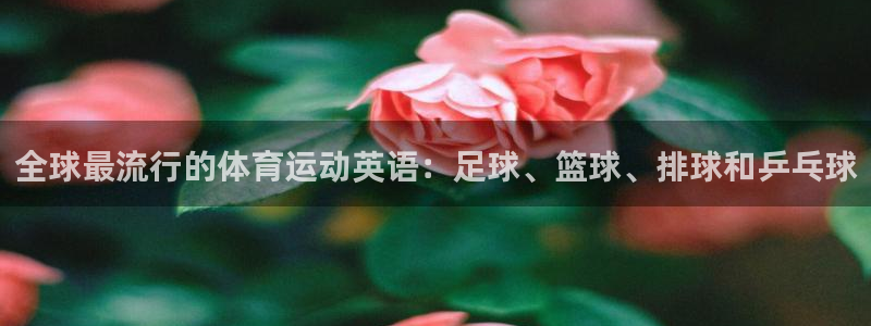 678体育官网下载：全球最流行的体育运动英语：足球、篮球、排球和乒乓球