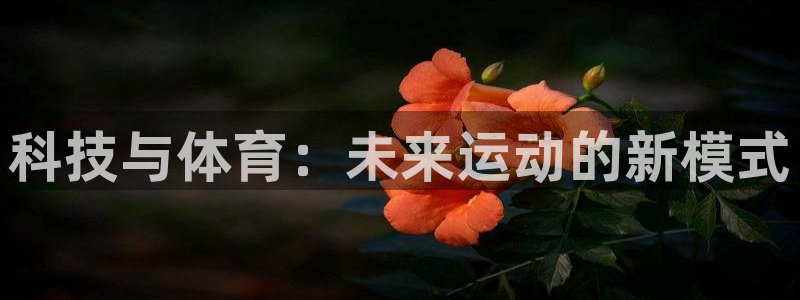 皇冠678体育：科技与体育：未来运动的新模式