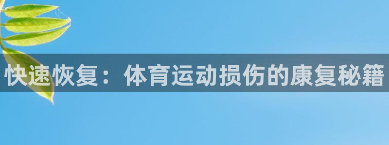 678体育app