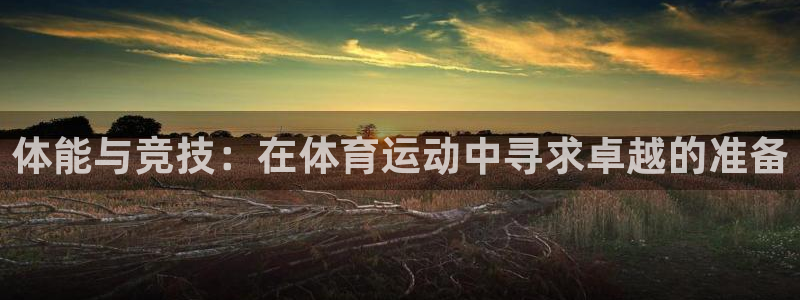 678体育：体能与竞技：在体育运动中寻求卓越的准备