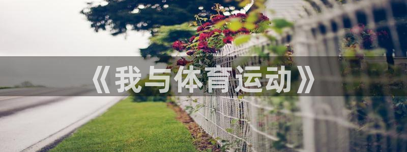 678体育官网下载：《我与体育运动》