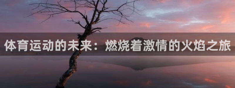 678体育：体育运动的未来：燃烧着激情的火焰之旅