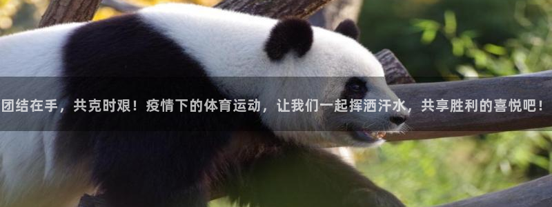 678体育知识：团结在手，共克时艰！疫情下的体育运动，让我们一起挥洒汗水，共享胜利的喜悦吧！