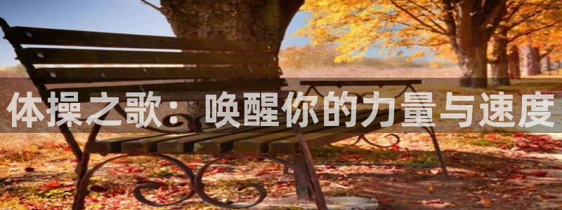 678体育
