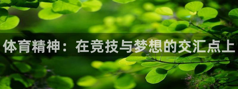 678体育官网下载
