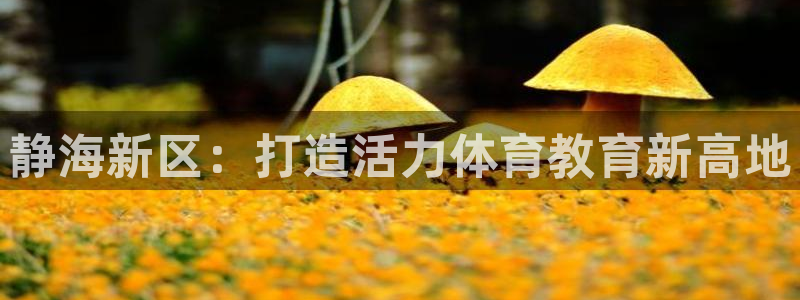 678体育官网地址：静海新区：打造活力体育教育新高地