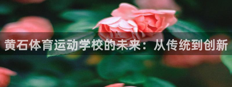 皇冠678体育：黄石体育运动学校的未来：从传统到创新