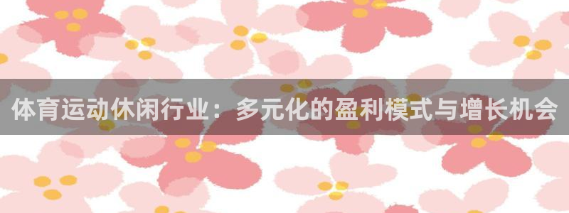 678体育app：体育运动休闲行业：多元化的盈利模式与增长机会